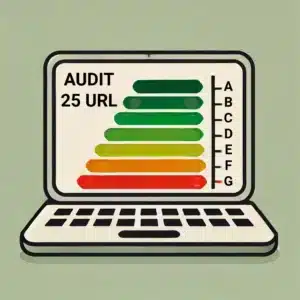 audit 25 url